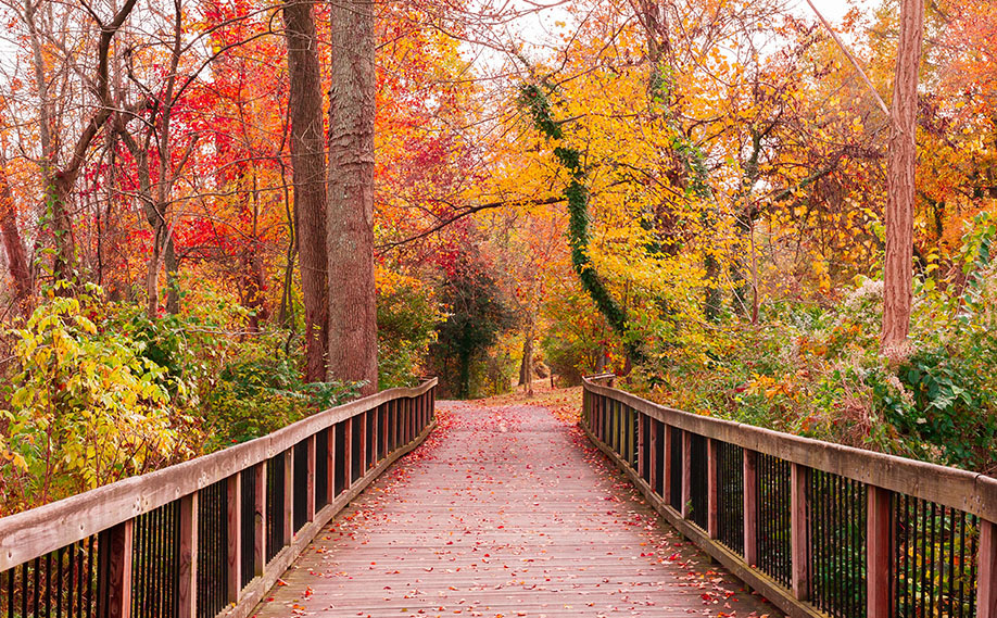 Acompañamiento terapéutico en Murcia